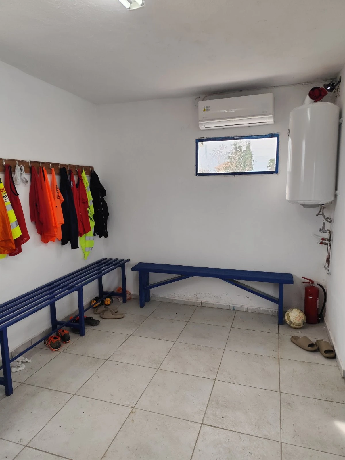 653077413-122266252688167901-825171432952725120-n.jpg?v=0