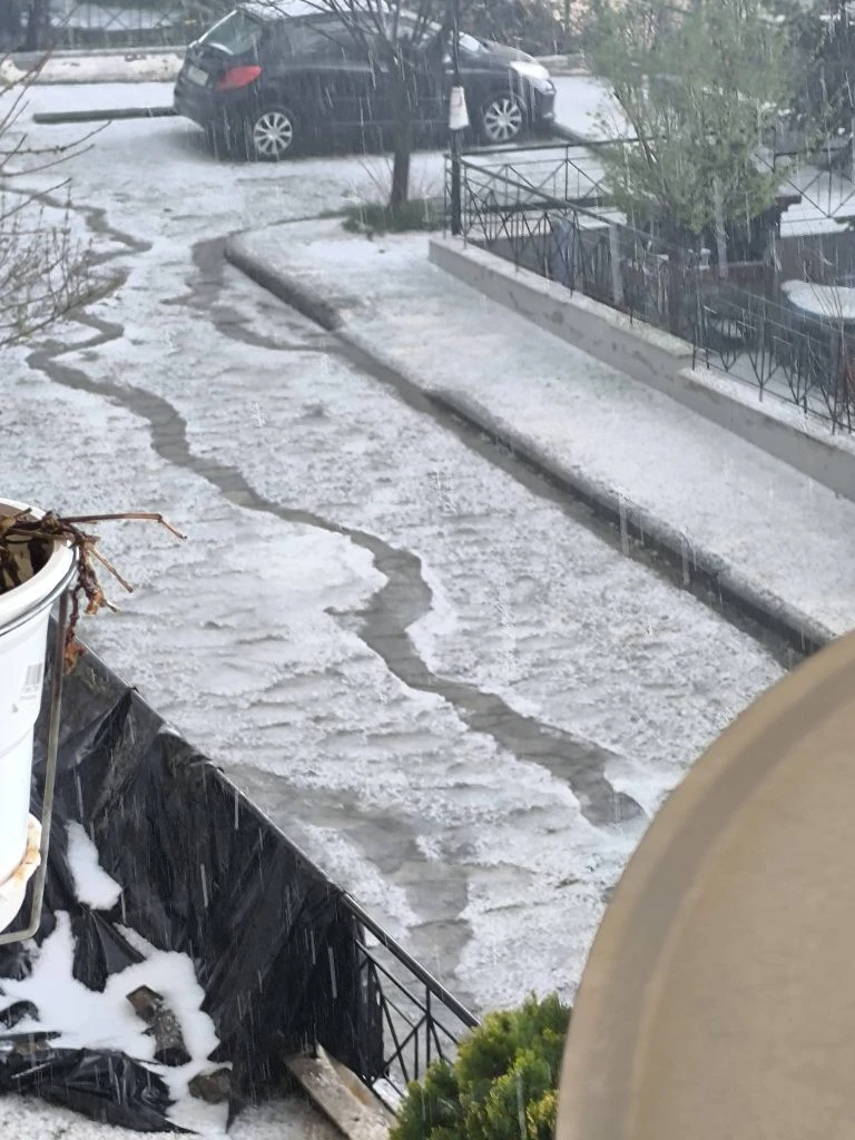 659119183-26385281067829848-4635102515384867262-n-768x1024.jpg?v=0