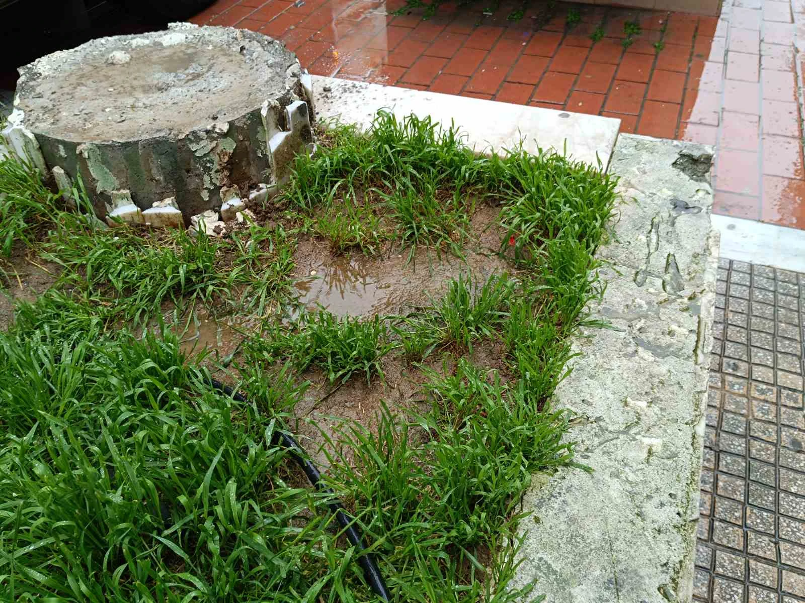 659640754-1369245835231677-4742903347229366259-n.jpg?v=0