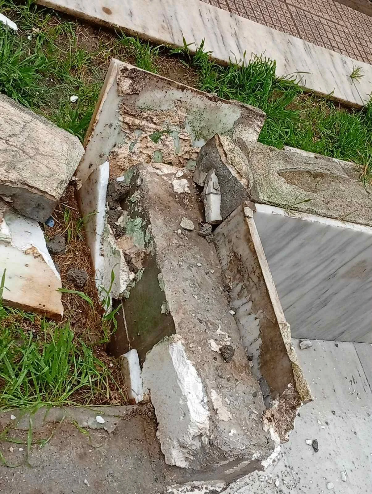 659691804-1369245648565029-6446364108661913965-n.jpg?v=0