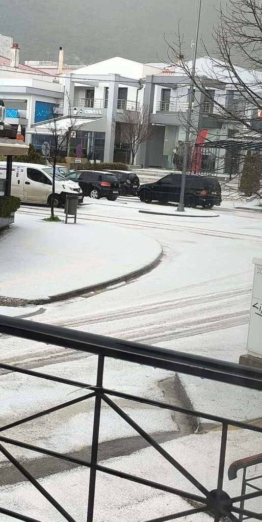 660195878-4437398859871520-965130107615055117-n-514x1024.jpg?v=0