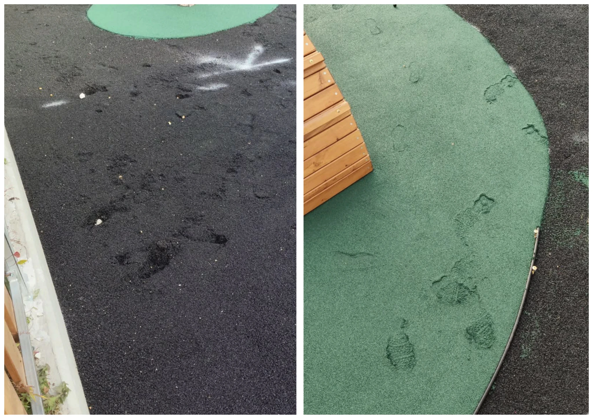 andrea-papandreou.png?v=0