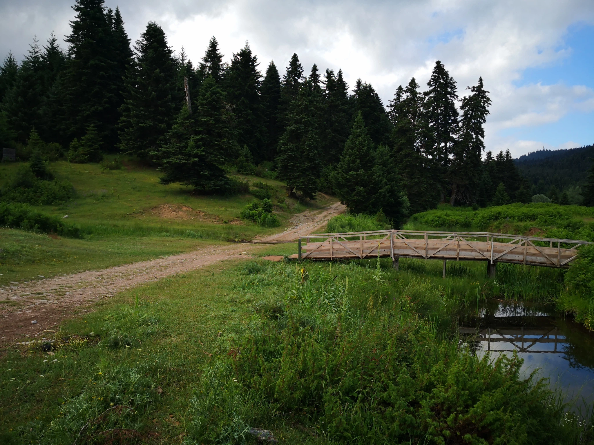 Φωτογραφία: ΑΠΕ-ΜΠΕ