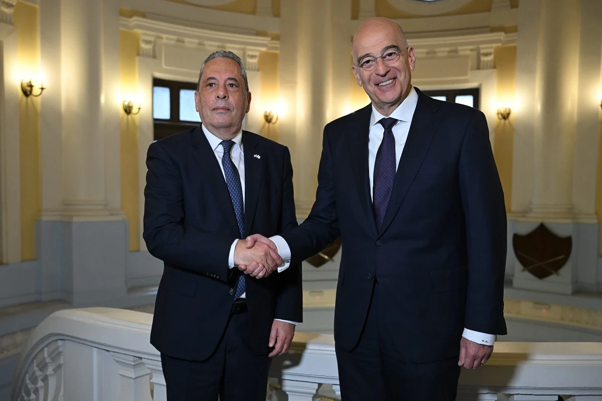 dendias-palmas-1.jpg?v=0