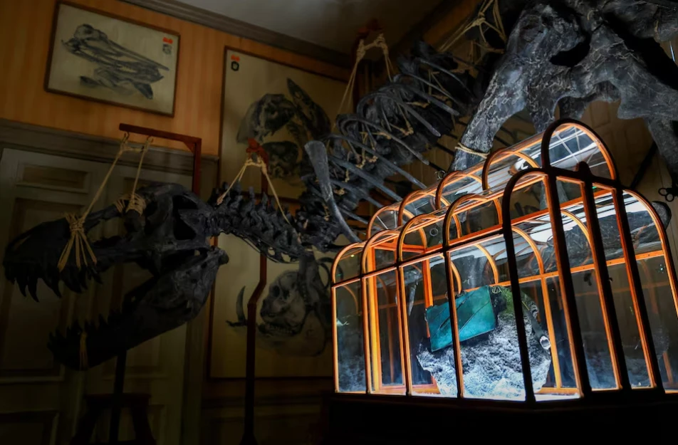 dinosaur-bag-4.png?v=0