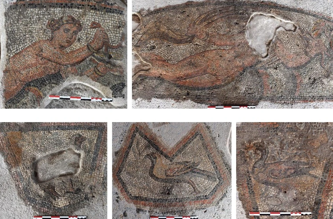 leptomereiesapoghinaikiesmorfeskaiptinasediachorapsifidotadapedoytisaithoysas3d1085.jpg?v=0