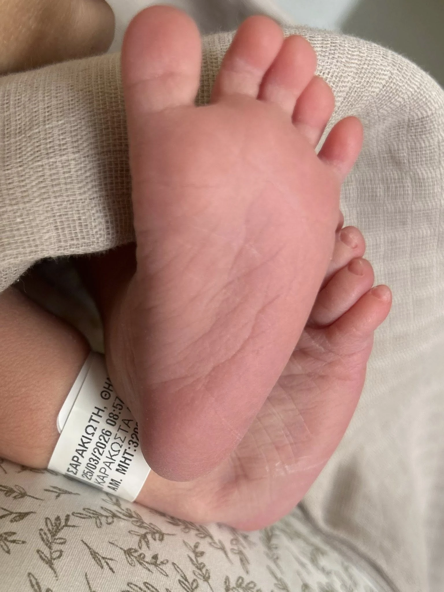 sarakiwtis-2.jpg?v=0