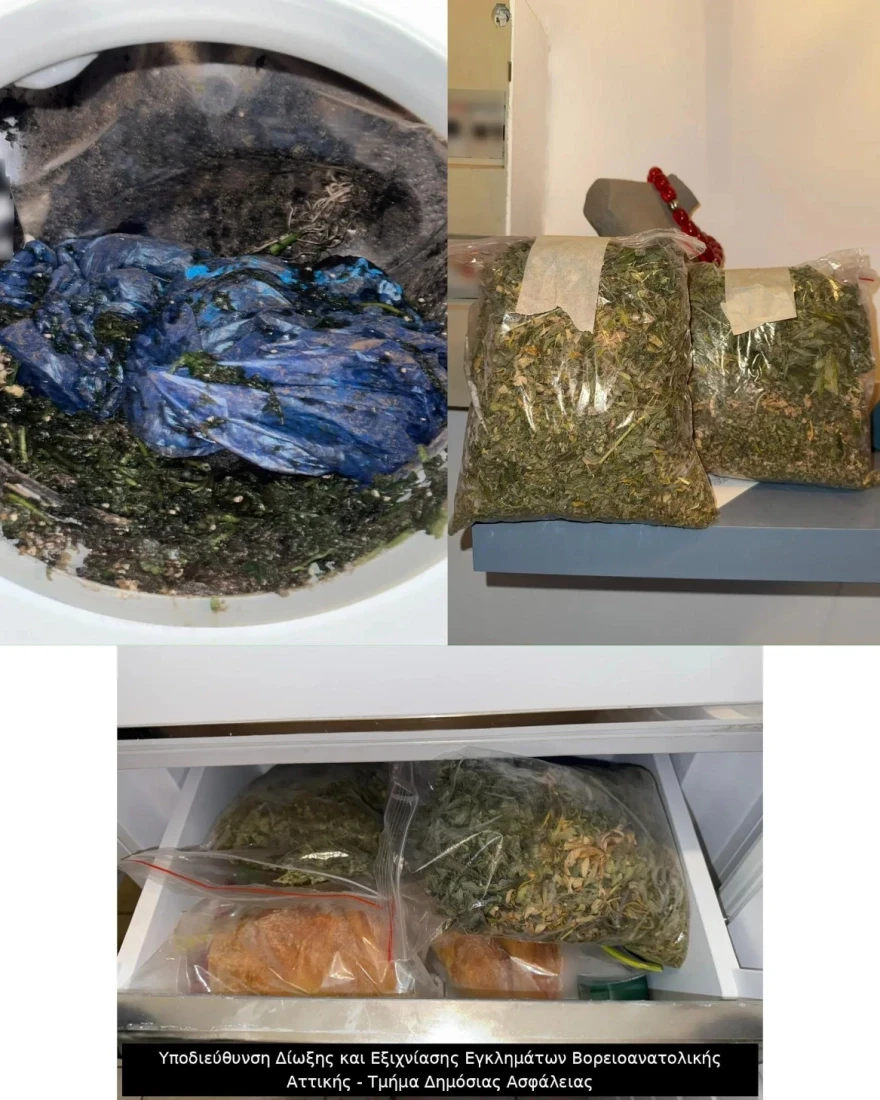 summoria-klopes-narkotika-4.webp?v=0