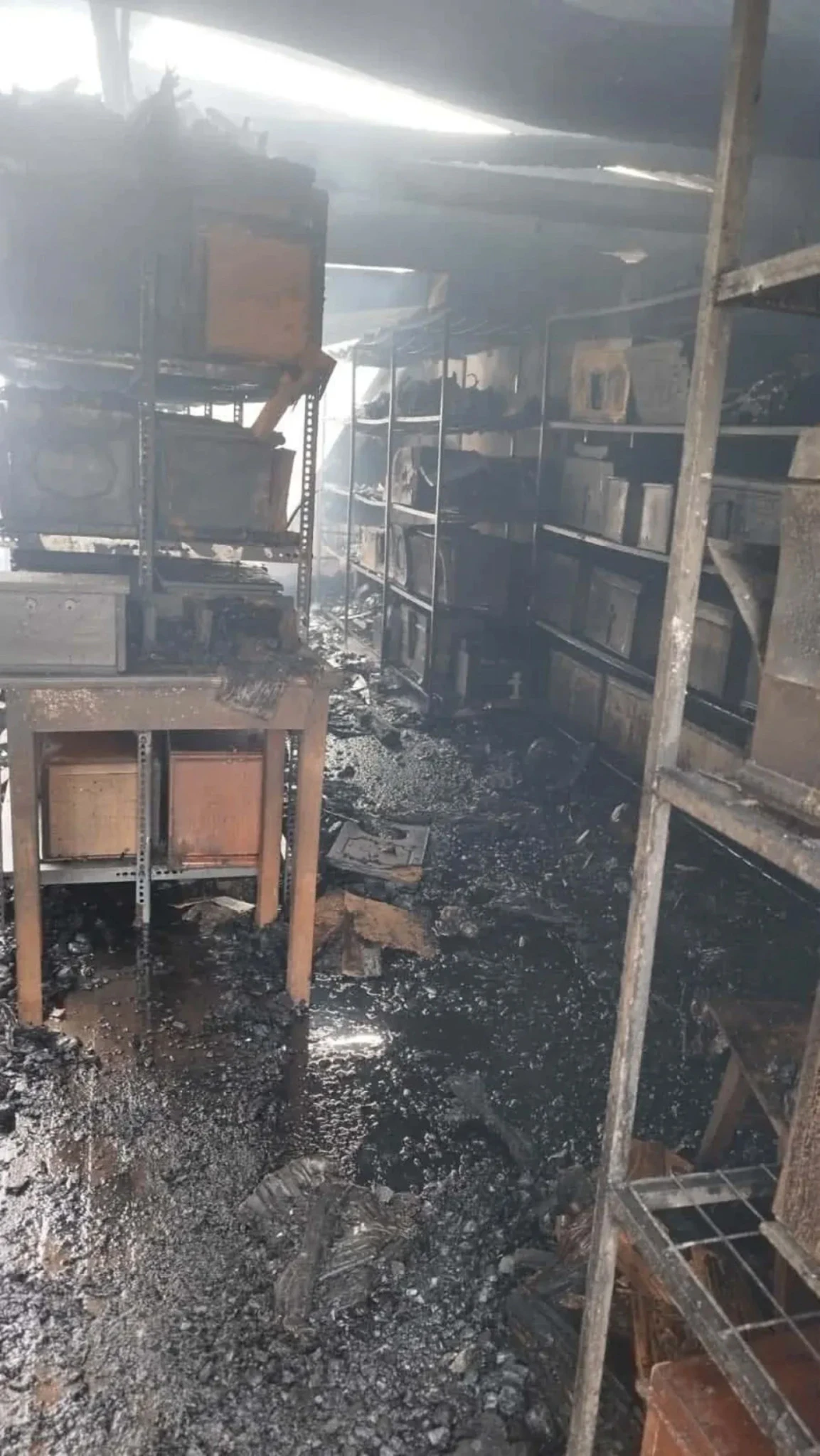 fotia-ioannina-1.jpg?v=0