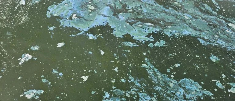 limni-polifitou-afros-768x330.jpg?v=0