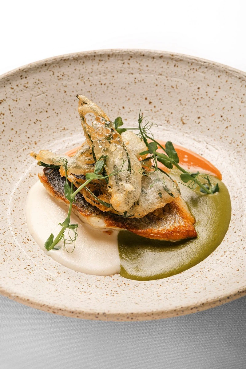 <i>Λαβράκι Πελαγίσιο</i>