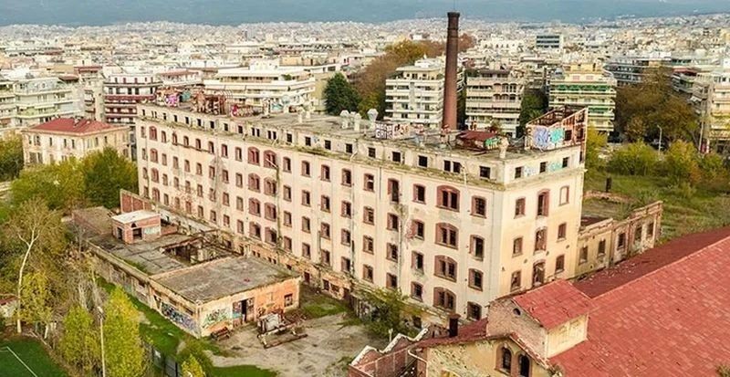 myloi-allatini1.jpg?v=0