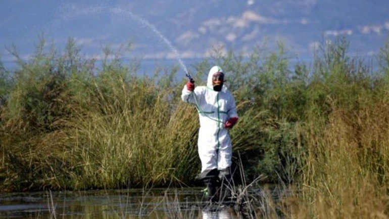 koynoypia-psekasmoi.jpg?v=0