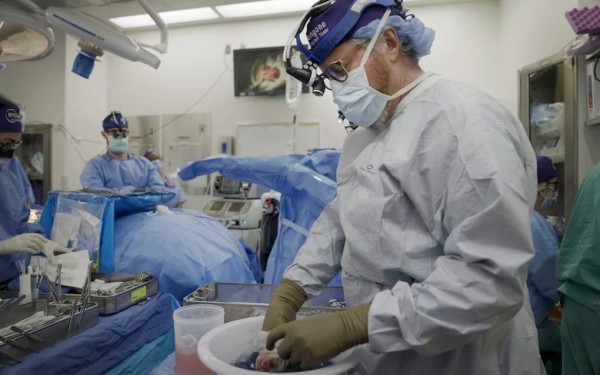 Ρεκόρ μεταμοσχεύσεων το 2025 στην Ελλάδα - 30.000 νέοι δωρητές οργάνων