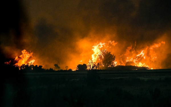 Οι περιβαλλοντικές επιπτώσεις από τις μεγάλες φωτιές του περασμένου Αυγούστου σε Πάτρα και Δυτική Αχαΐα