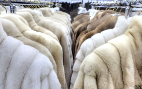 Καστοριά: Σε τροχιά ανάκαμψης και πάλι η γουνοποιία