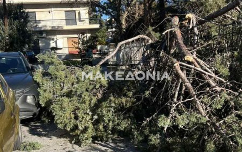 Έπεσαν δέντρα σε Θεσσαλονίκη και Χαλκιδική από τους θυελλώδεις ανέμους - Σε συναγερμό η πυροσβεστική