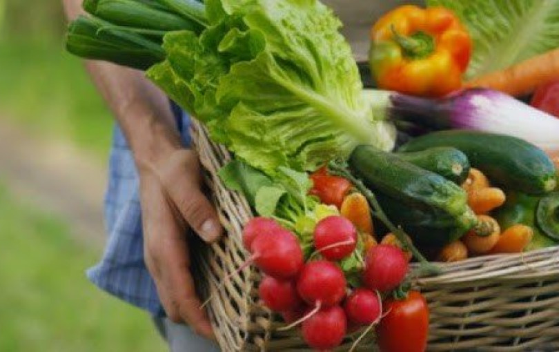 Υγεία: Η ανθυγιεινή διατροφή στα πρώτα χρόνια ζωής προκαλεί μακροχρόνιες αλλαγές στον εγκέφαλο