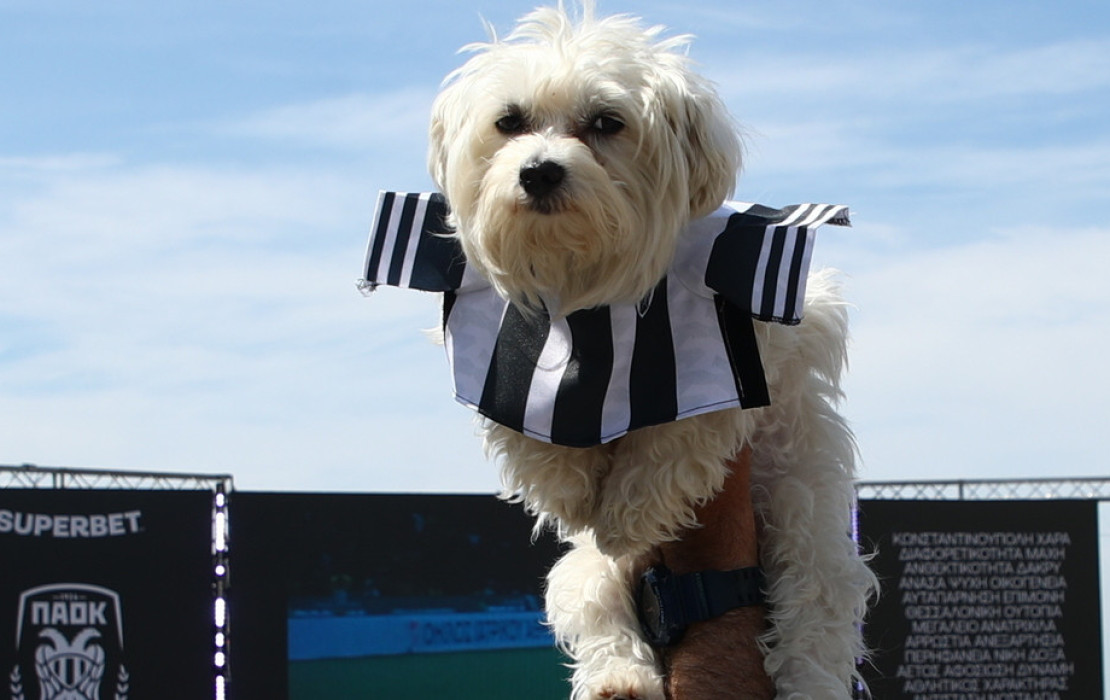 Γιορτή ΠΑΟΚ: Ο πιο πιστός φίλος του Δικέφαλου