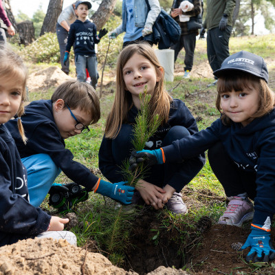 Χαλκιδική: Πρόγραμμα φύτευσης 6.000 δέντρων για την ενίσχυση του παράκτιου πευκοδάσους της Σάνης