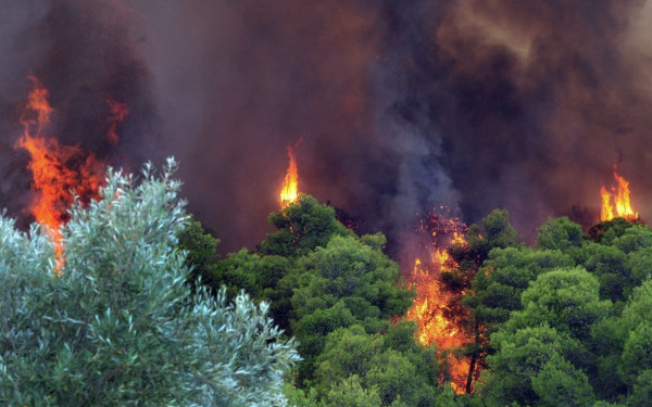 Βόλος: Πυρκαγιά κοντά στον αρχαιολογικό χώρο του Σέσκλου