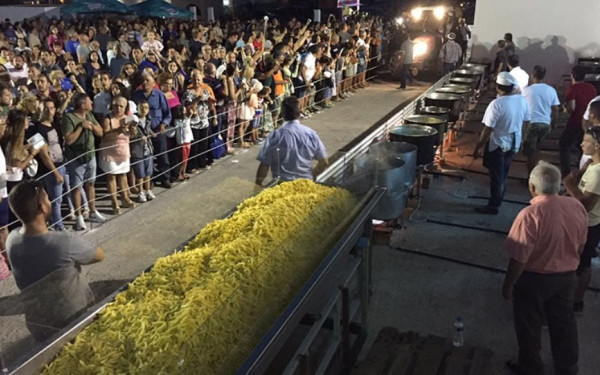 Ρεκόρ γκίνες στη Νάξο