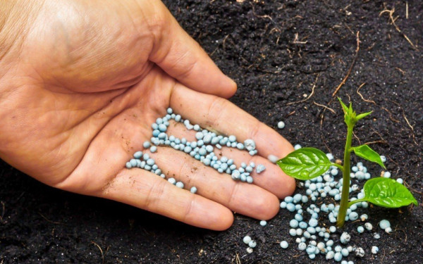 Μέσω πλατφόρμας η επιδότηση των 60 εκατ. ευρώ για αγορά λιπασμάτων