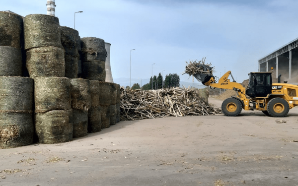 Δήμος Αλεξανδρούπολης: Καλεί τους αγρότες να εκδηλώσουν ενδιαφέρον για τη διαθέσιμη θερμική ενέργεια