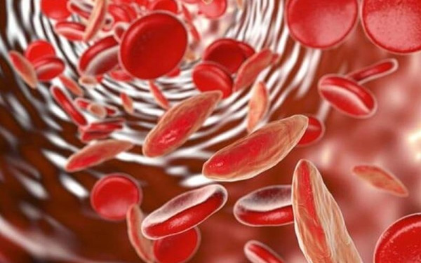 Επαναστατική θεραπεία μειώνει ακόμα και στο μισό την ανάγκη για μετάγγιση αίματος 