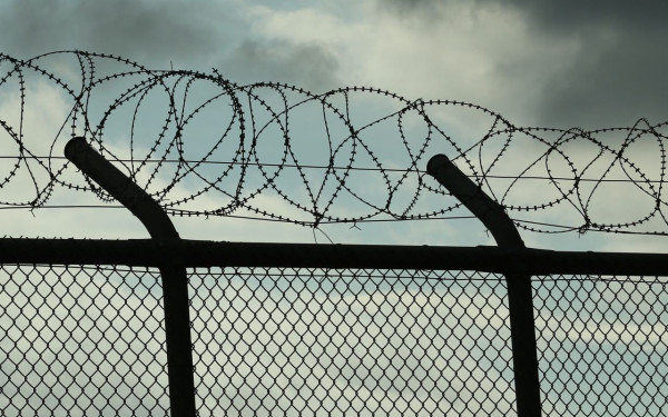 Δολοφονία Φαίης Μπακογιώργου: Στη φυλακή οι τρεις κατηγορούμενες 