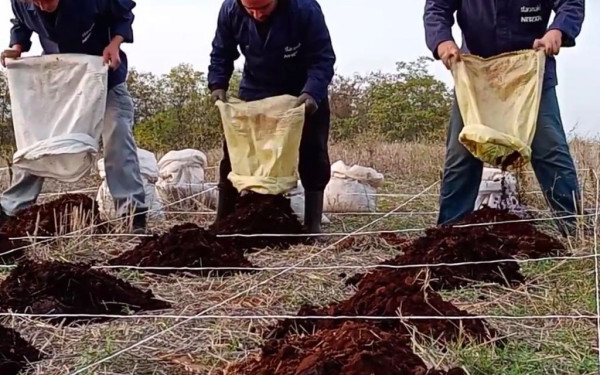 «Χρυσάφι» η αγροτική γη σε Κατερίνη, Γιαννιτσά, Ημαθία, Σέρρες