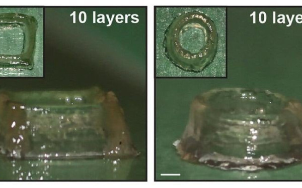Δημιουργήθηκε το πρώτο «ζωντανό μελάνι» μόνο από μεταλλαγμένα μικρόβια – Οι πιθανές εφαρμογές