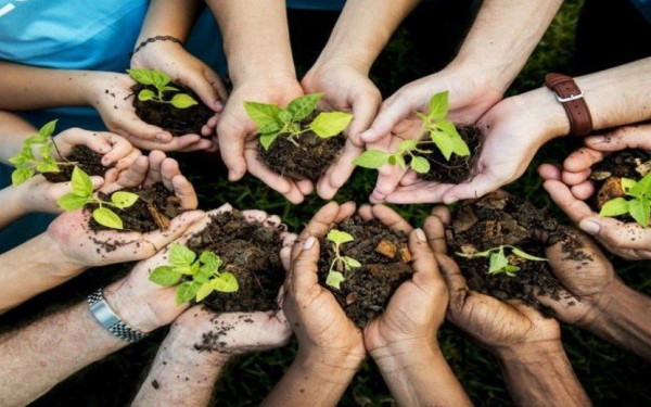 Διήμερο φυτεύσεων στο βρώσιμο δάσος της Νεάπολης - Δηλώστε συμμετοχή