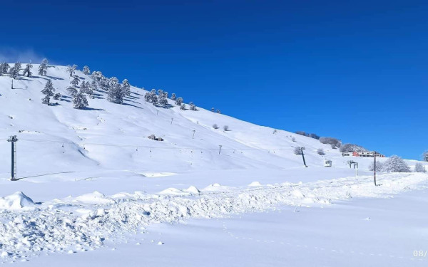 Πήλιο: Αδύνατη η λειτουργία του Χιονοδρομικού Κέντρου, δηλώνει ο Διευθύνων Σύμβουλος της εταιρείας