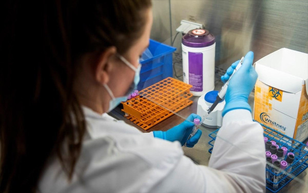 Κορονοϊός: Με ευρωπαϊκή πρωτιά στα κρούσματα, «αποχαιρετά» η Ελλάδα την κατάσταση έκτακτης ανάγκης (πίνακες)