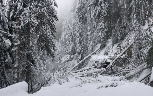 Στα λευκά «ντύθηκαν» τα ορεινά στη Δυτική Μακεδονία (βίντεο)