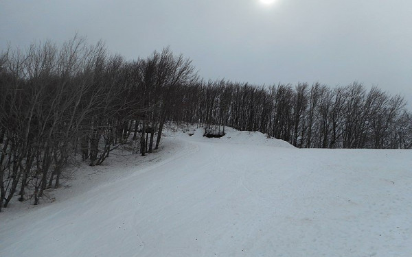 Σε ποιους δήμους της Μαγνησίας δεν θα λειτουργήσουν αύριο τα σχολεία 
