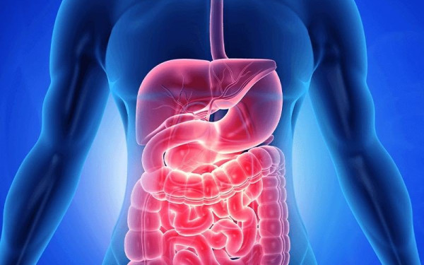 Το μικροβίωμα του εντέρου δείχνει τον κίνδυνο για μακρά Covid-19