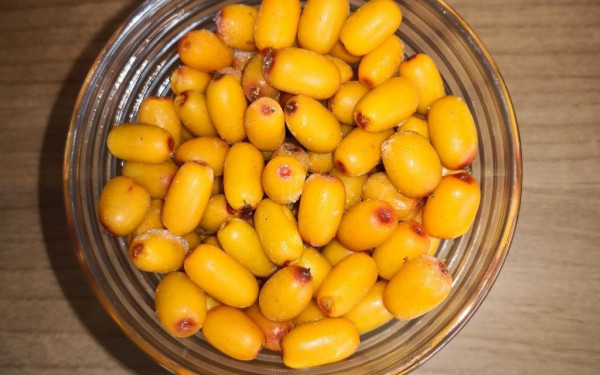 Στην Καρδίτσα... ξέρουν για το superfood που θεράπευε και δυνάμωνε τα άλογα του Μέγα Αλέξανδρου