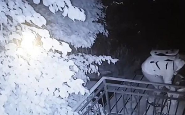 Αττική: Εμπρηστικές επιθέσεις με γκαζάκια στα σπίτια των Δημήτρη Καμπουράκη και Βασίλη Ντούμα (βίντεο)