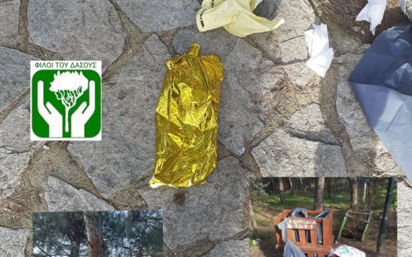 «Φίλοι του Δάσους»: Γέμισε σκουπίδια το άλσος Μετεώρων