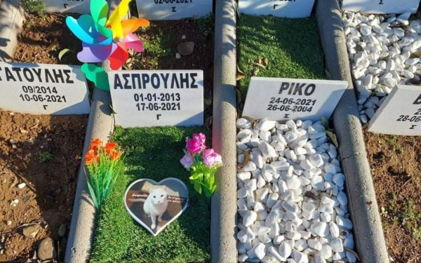 Έρχεται αποτεφρωτήριο μικρών ζώων στη Θεσσαλονίκη (φωτ.)