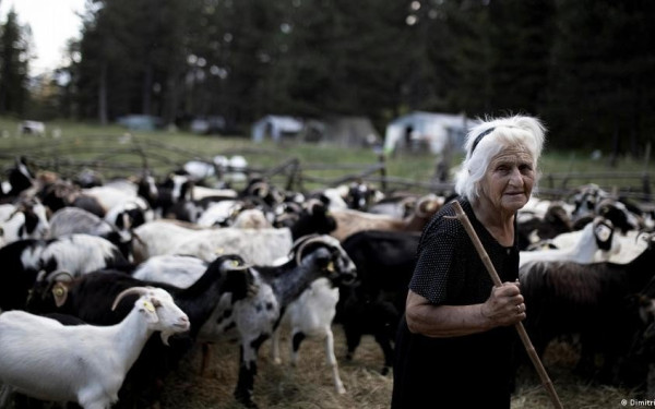 Ένας Θεσσαλονικιός φωτορεπόρτερ στο "διάβα" των τελευταίων Ελλήνων νομάδων κτηνοτρόφων (φωτ.)