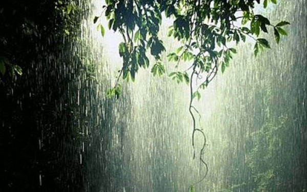 Στο ταξίδι σου έχε πίστη. Της Σύνθιας Σάπικα