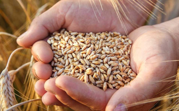 Ολλανδία: Θα επιτρέψει την αποστολή 20.000 τόνων ρωσικών λιπασμάτων στο Μαλάουι