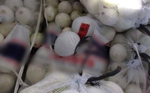 Μεξικό: Μεταμφίεσαν ναρκωτικά σε... λευκά κρεμμύδια (Φωτ.)