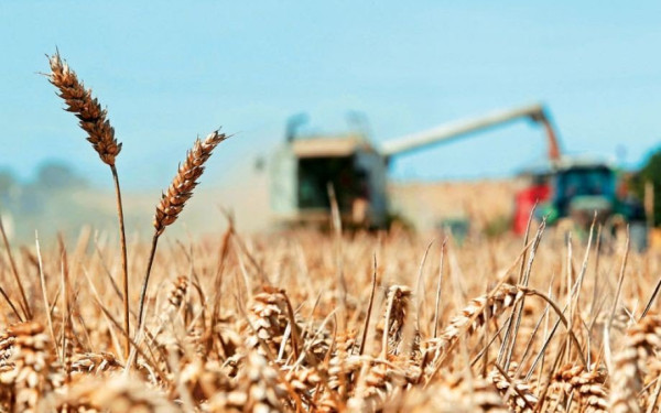 Ουκρανία: Παρατάθηκαν οι εξαγωγές των σιτηρών