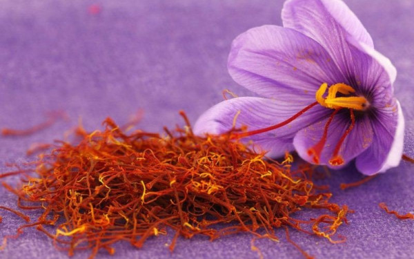 Κρόκος Κοζάνης: Δεν «αποδίδουν καρπούς» οι εξαγωγές στην Κίνα