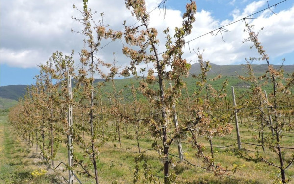 Κακοκαιρία: Καταστροφικό το πέρασµα της καταιγίδας από Πήλιο, Χαλκιδική και Ροδόπη