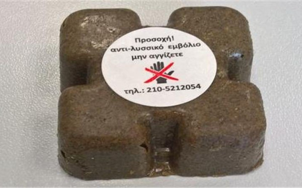 ΠΚΜ: Τον Απρίλιο ο αντιλυσσικός εμβολιασμός κόκκινων αλεπούδων για την άνοιξη του 2022